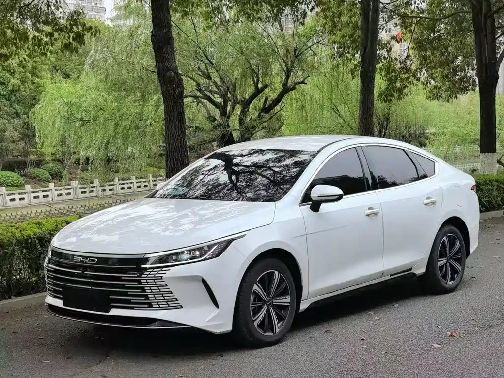 BYD Destroyer 05 2024 — фото 1