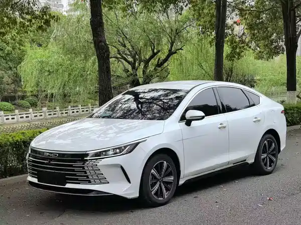 BYD Destroyer 05 2024