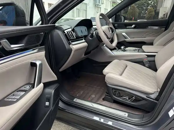 BYD Tang New Energy 2025