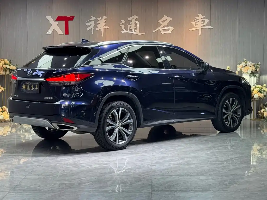 Lexus RX 2020 — фото 23