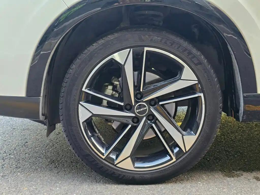 Roewe RX5 MAX 2023 — фото 19