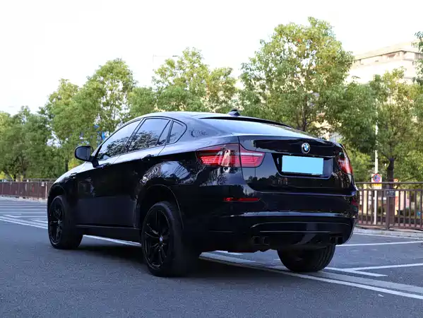 BMW X6 M 2010