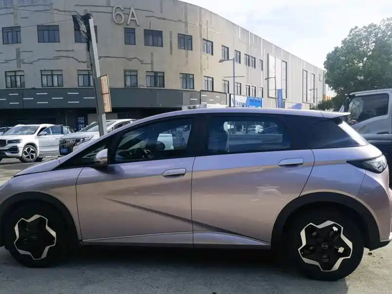 BYD Dolphin 2022