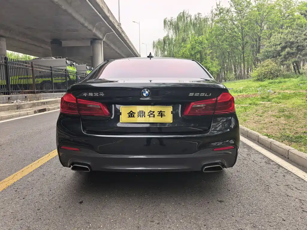 BMW 5 Series 2019