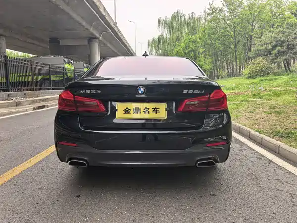 BMW 5 Series 2019