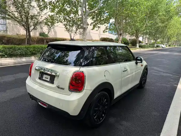 MINI MINI 2018