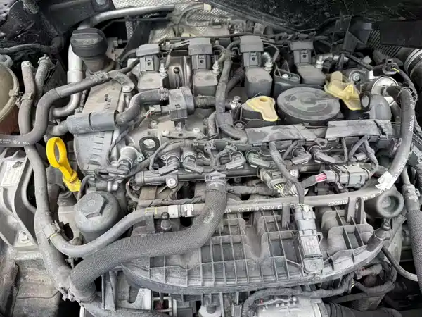 Volkswagen Magotan 2019