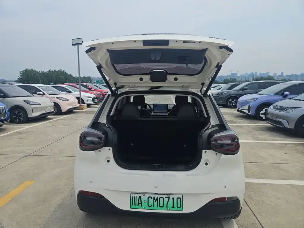 Dongfeng Nano 01 2025 — фото 17