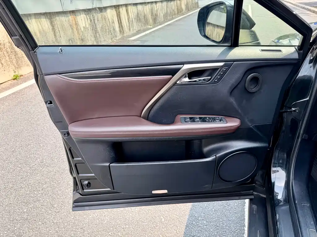 Lexus RX 2020 — фото 12