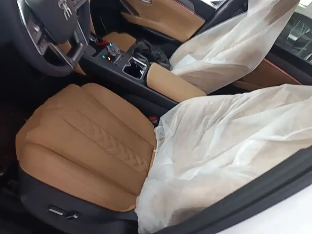 BYD L DM-i 2025 — фото 15