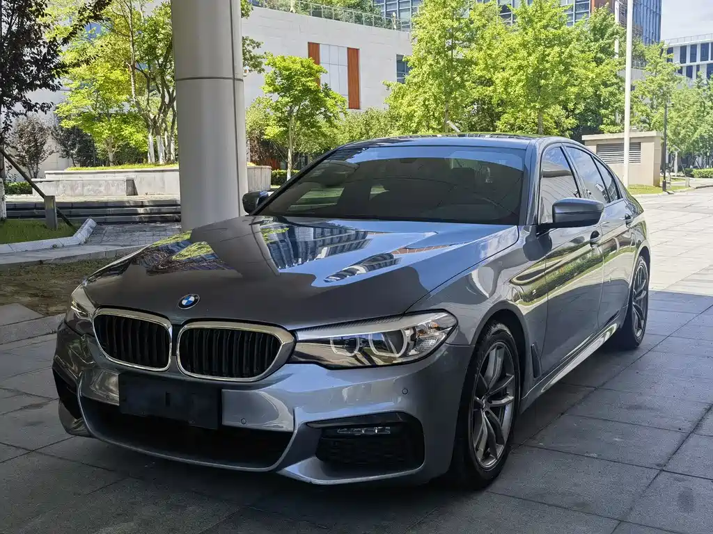 BMW 5 Series 2019