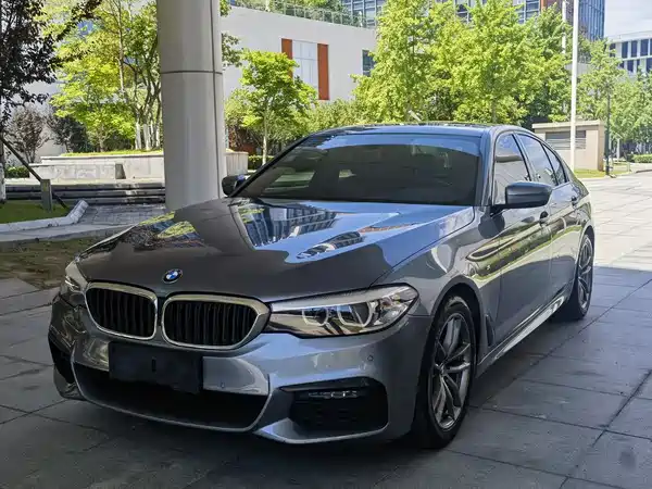 BMW 5 Series 2019