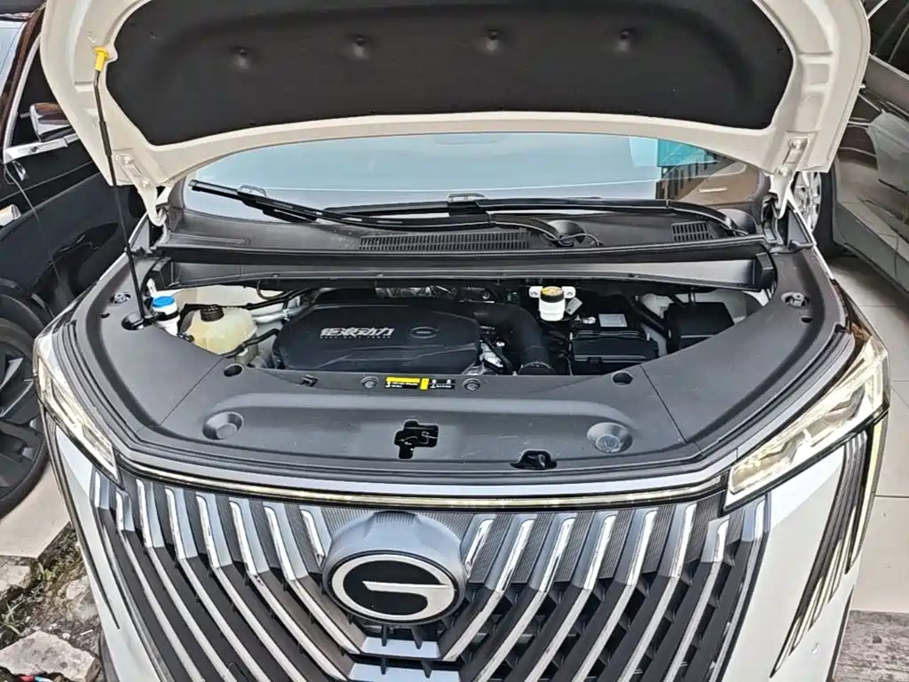 GAC Trumpchi M8 2024 — фото 20