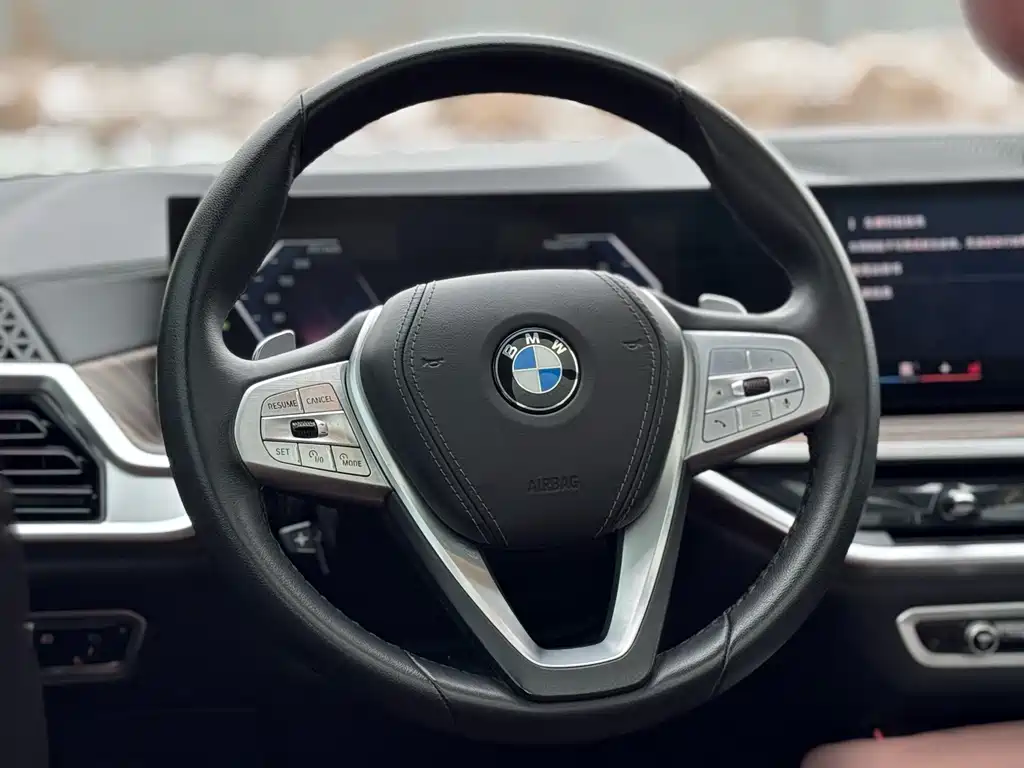 BMW X7 2023 — фото 10
