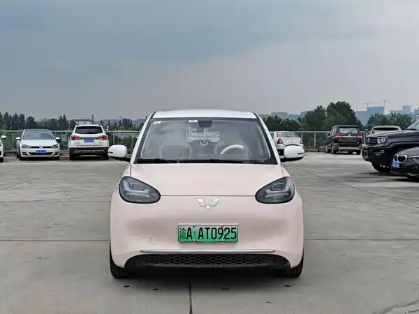 Wuling Bingo 2024