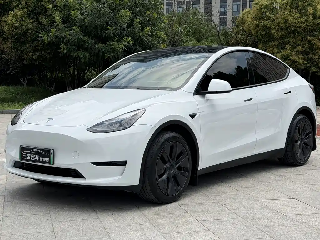 Tesla Model Y 2024 — фото 1