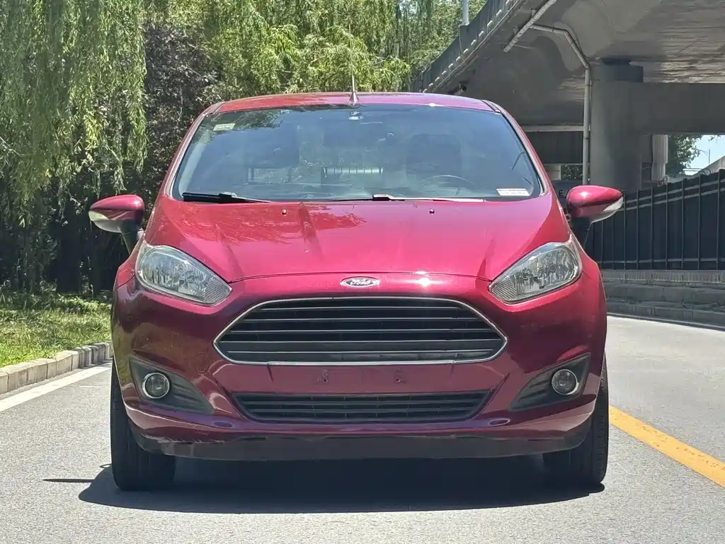 Ford Fiesta 2014 — фото 2