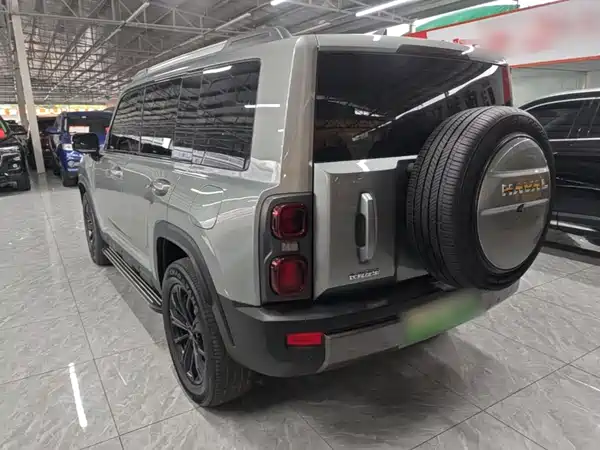 Haval Raptors New Energy 2024