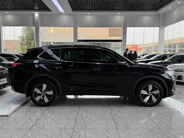 Volkswagen Tiguan L 2024