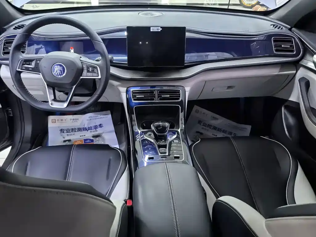 BYD Qin PLUS 2023 — фото 8