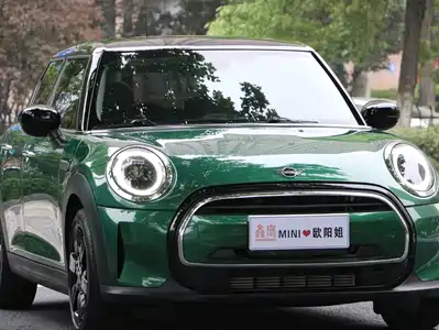 MINI MINI 2024
