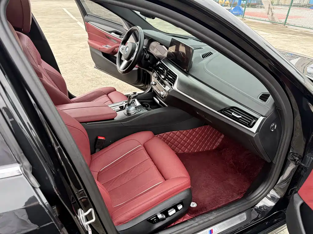 BMW 5 Series New Energy 2022