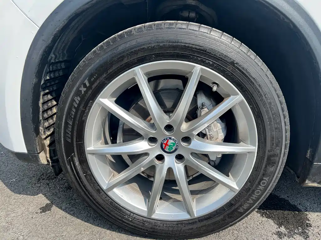 Alfa Romeo Stelvio 2019 — фото 25