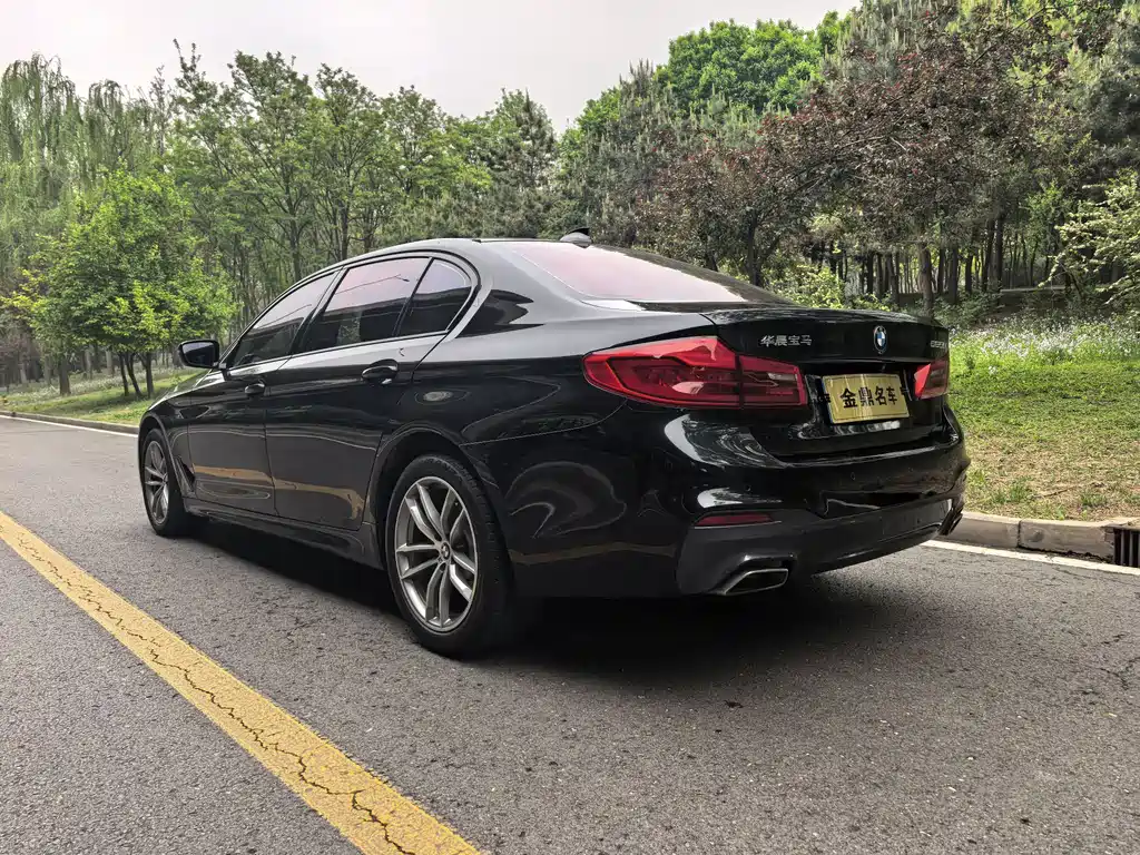 BMW 5 Series 2019