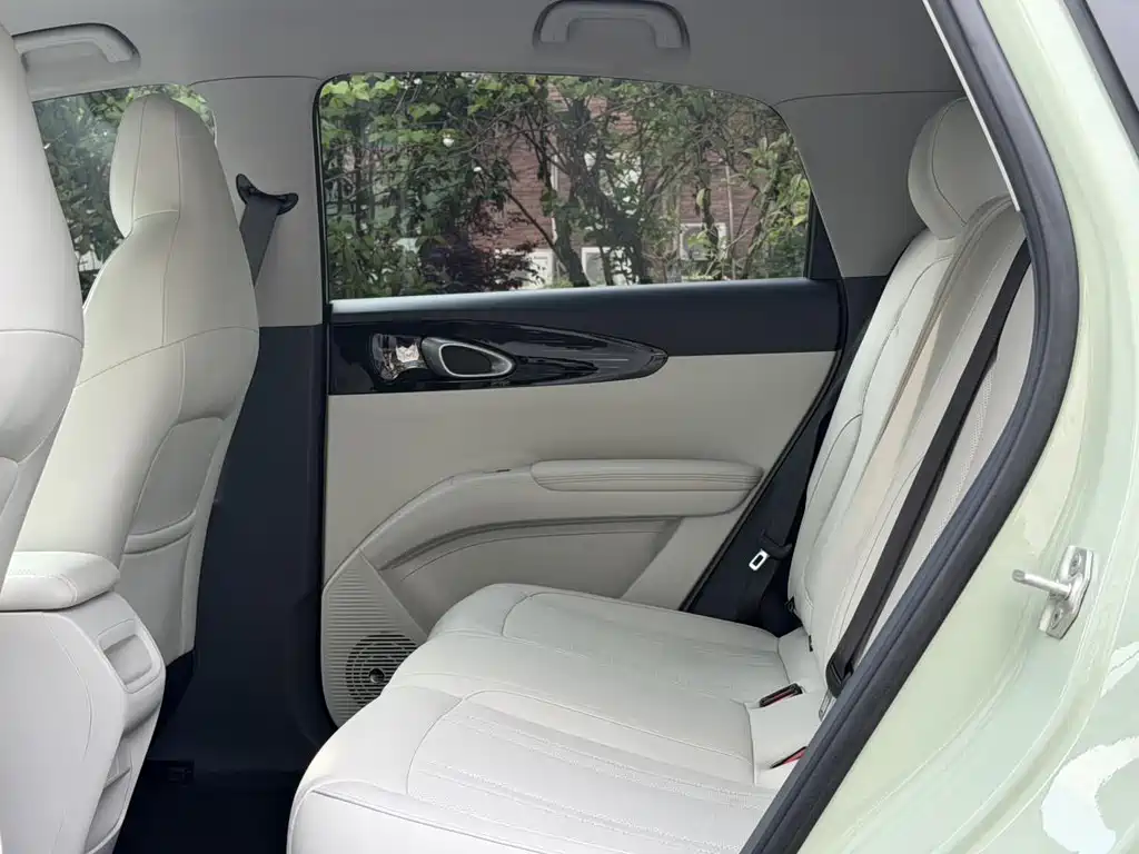 Geely Galaxy Starwish 2025 — фото 15