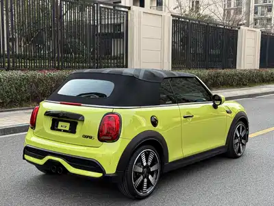 MINI MINI 2024