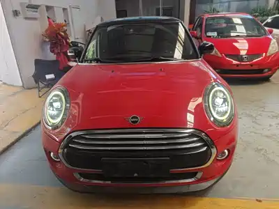 MINI MINI 2020