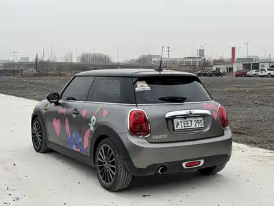 MINI MINI 2016