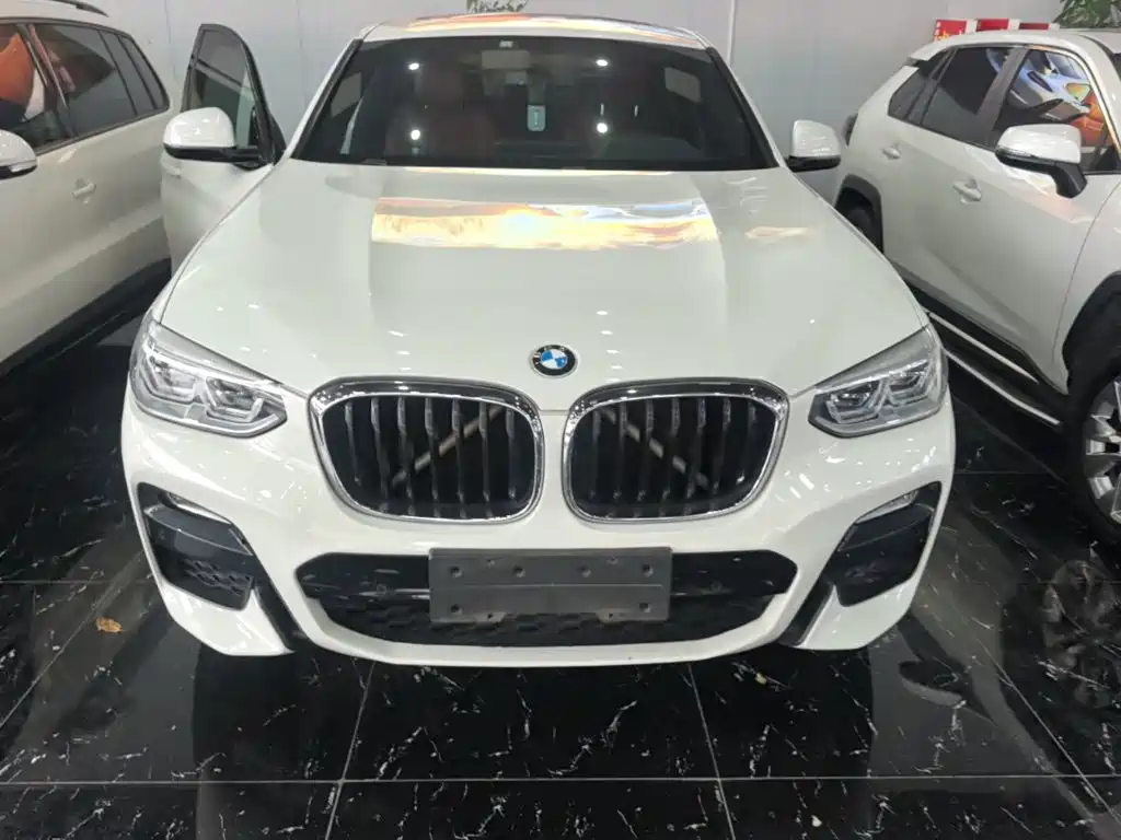 BMW X4 2019 — фото 3