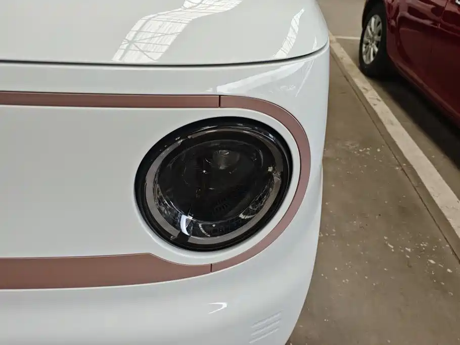 Geely Galaxy Panda 2024