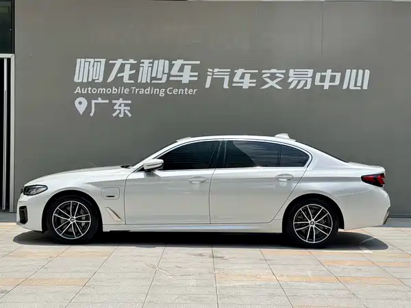 BMW 5 Series New Energy 2022