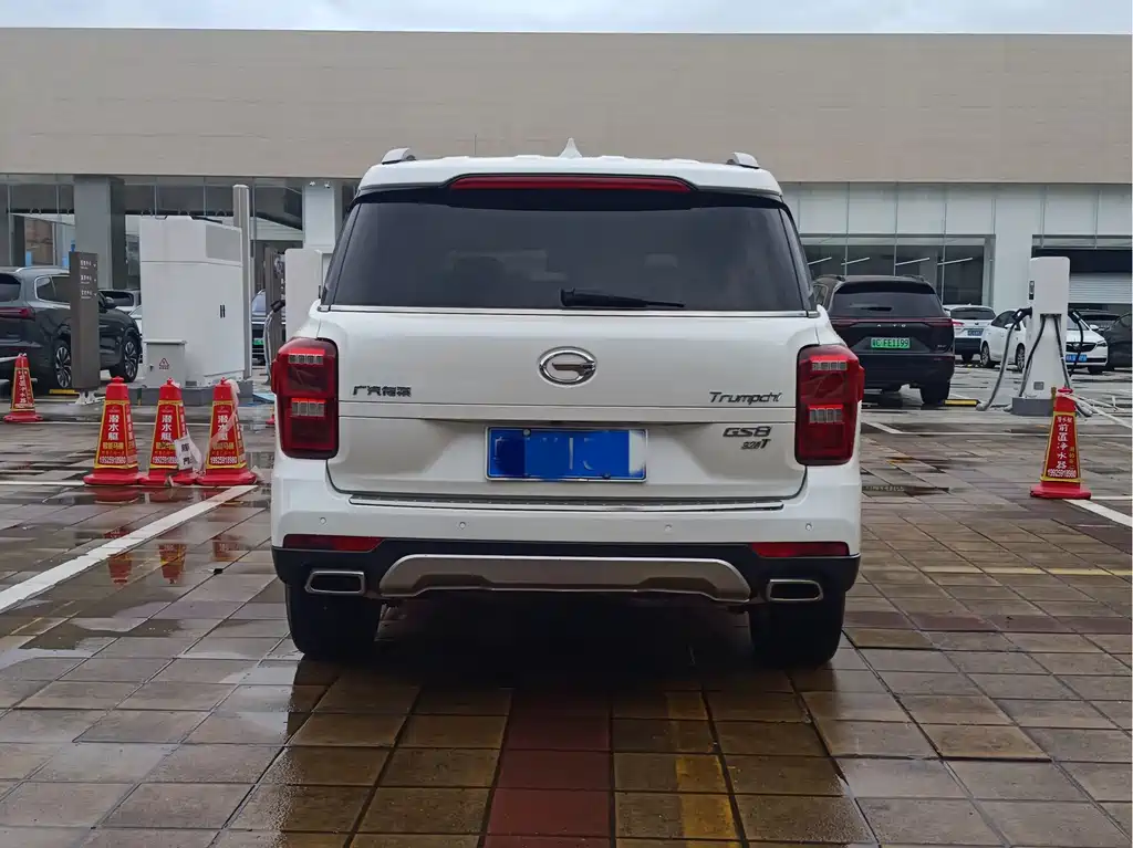 GAC Motor Trumpchi GS8 2018 — фото 8