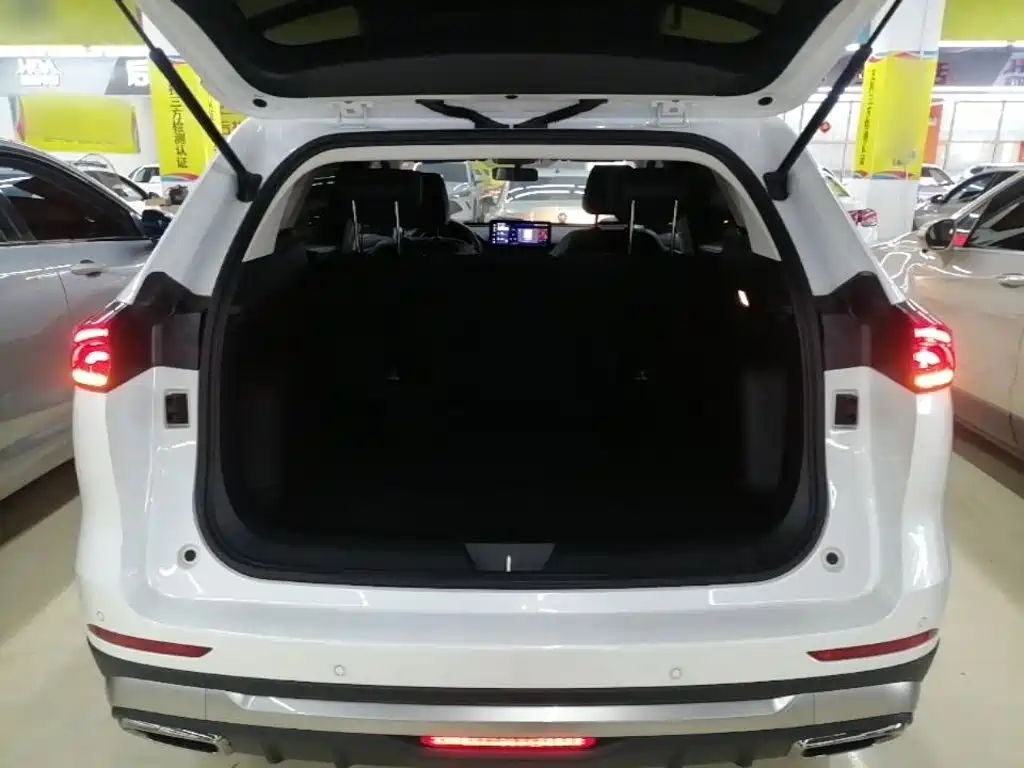 Haval H6 2024 — фото 19