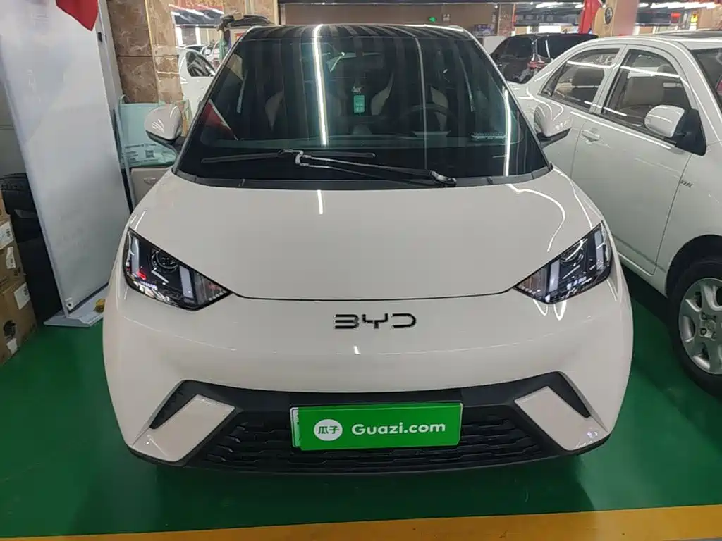 BYD Seagull 2024