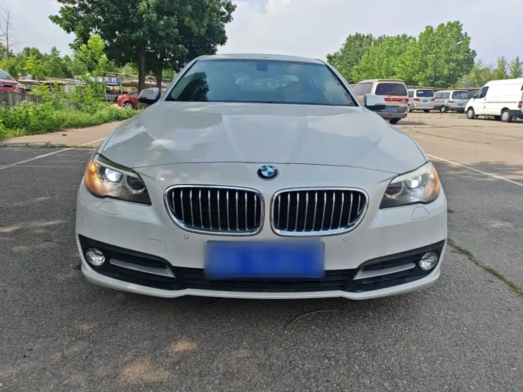 BMW 5 Series 2014
