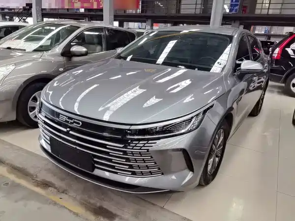 BYD Destroyer 05 2024