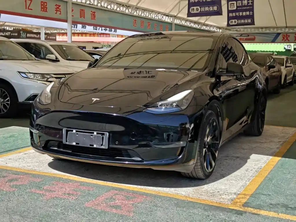 Tesla Model Y 2021 — фото 1