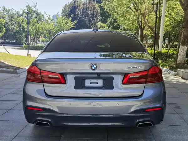 BMW 5 Series 2019