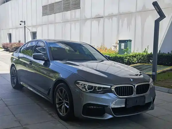 BMW 5 Series 2019