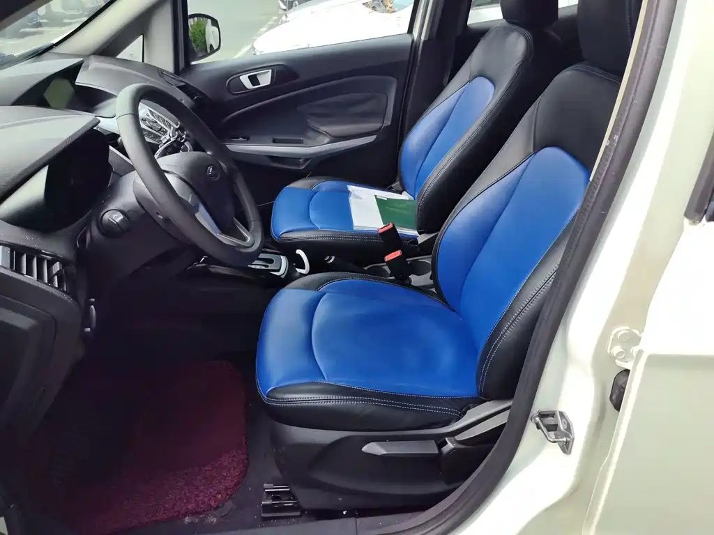 Ford Ecosport 2015 — фото 11
