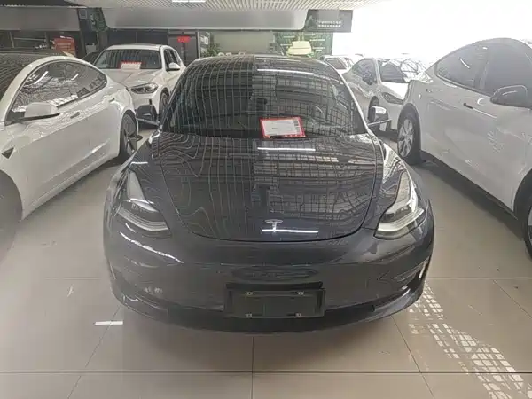 Tesla Model 3 2019