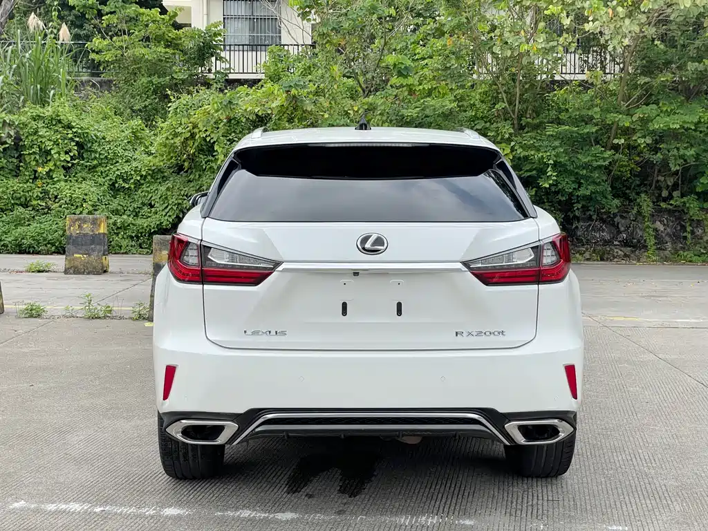 Lexus RX 2017 — фото 11