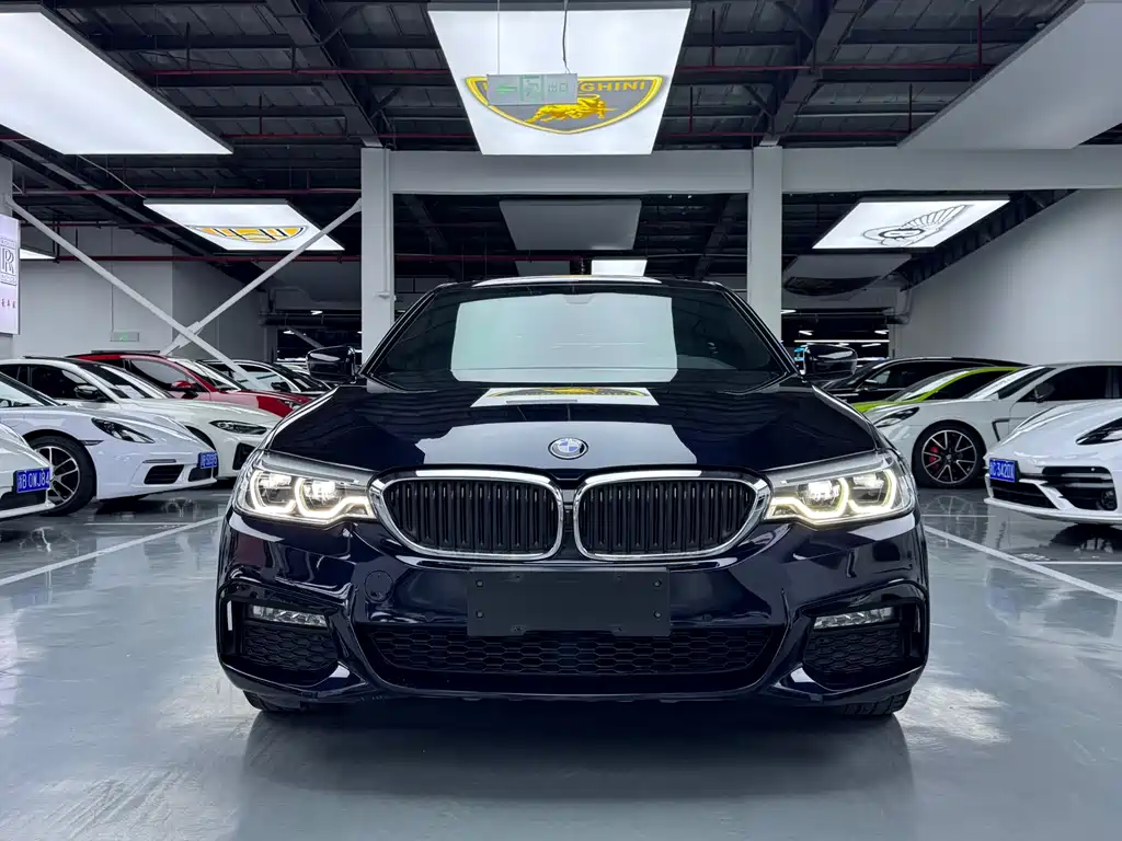 BMW 5 Series 2018 — фото 2