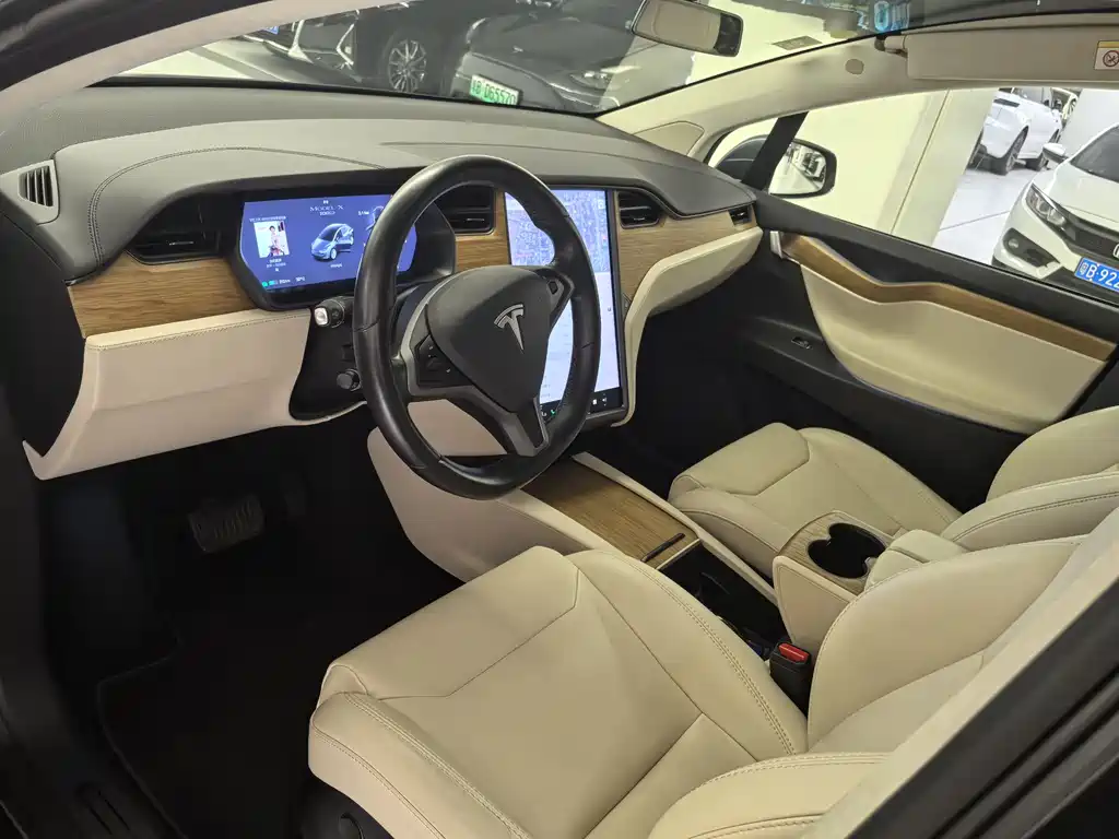 Tesla Model X 2019 — фото 6
