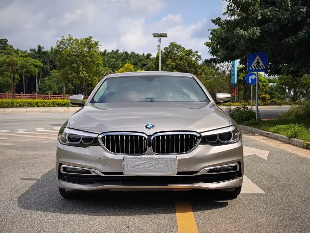 BMW 5 Series 2019