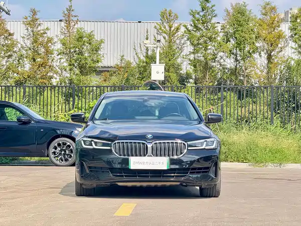 BMW 5 Series New Energy 2020